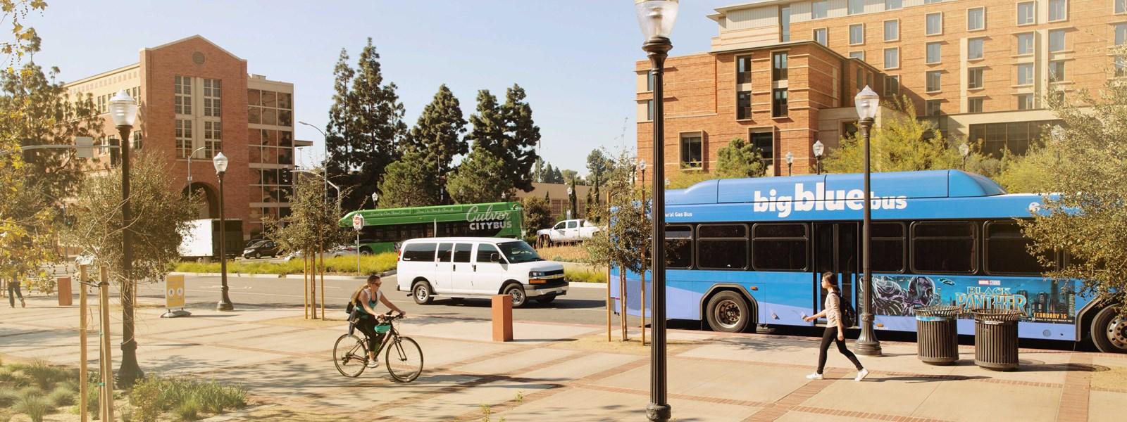 UCLA Bus Stops